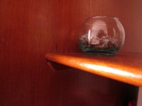 /album/fotogaleria-inicio/img-0649-jpg1/