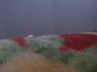 /album/fotogaleria-inicio/img-0700-jpg/