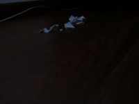 /album/fotogaleria-inicio/img-0701-jpg/