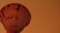 /album/fotogaleria/img-0788-jpg/